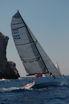 [Immagine: 2009113095920_cerboli 2.jpg]